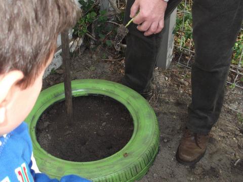Com pneus velhos que foram pintados construímos canteiros onde se plantaram vários tipos de legumes.